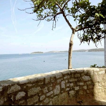 Apartment Giulio - 10Mt To The Beach 罗维尼 外观 照片